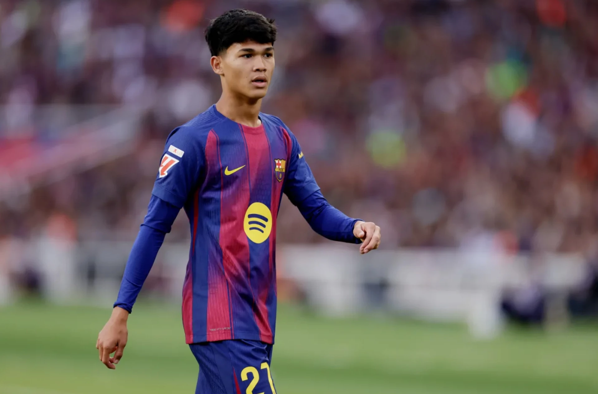 Дро Фернандес