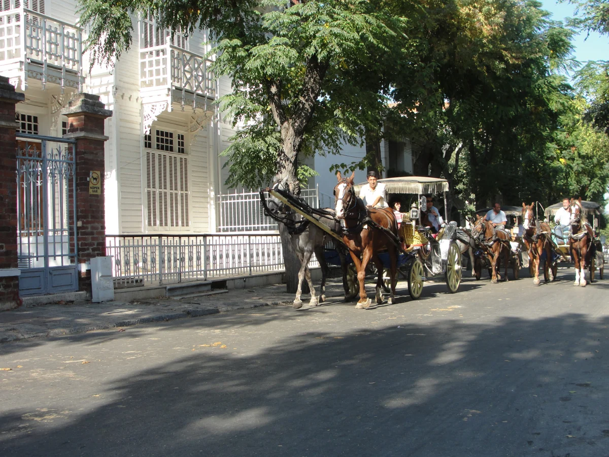 faitongiite chakat klienti