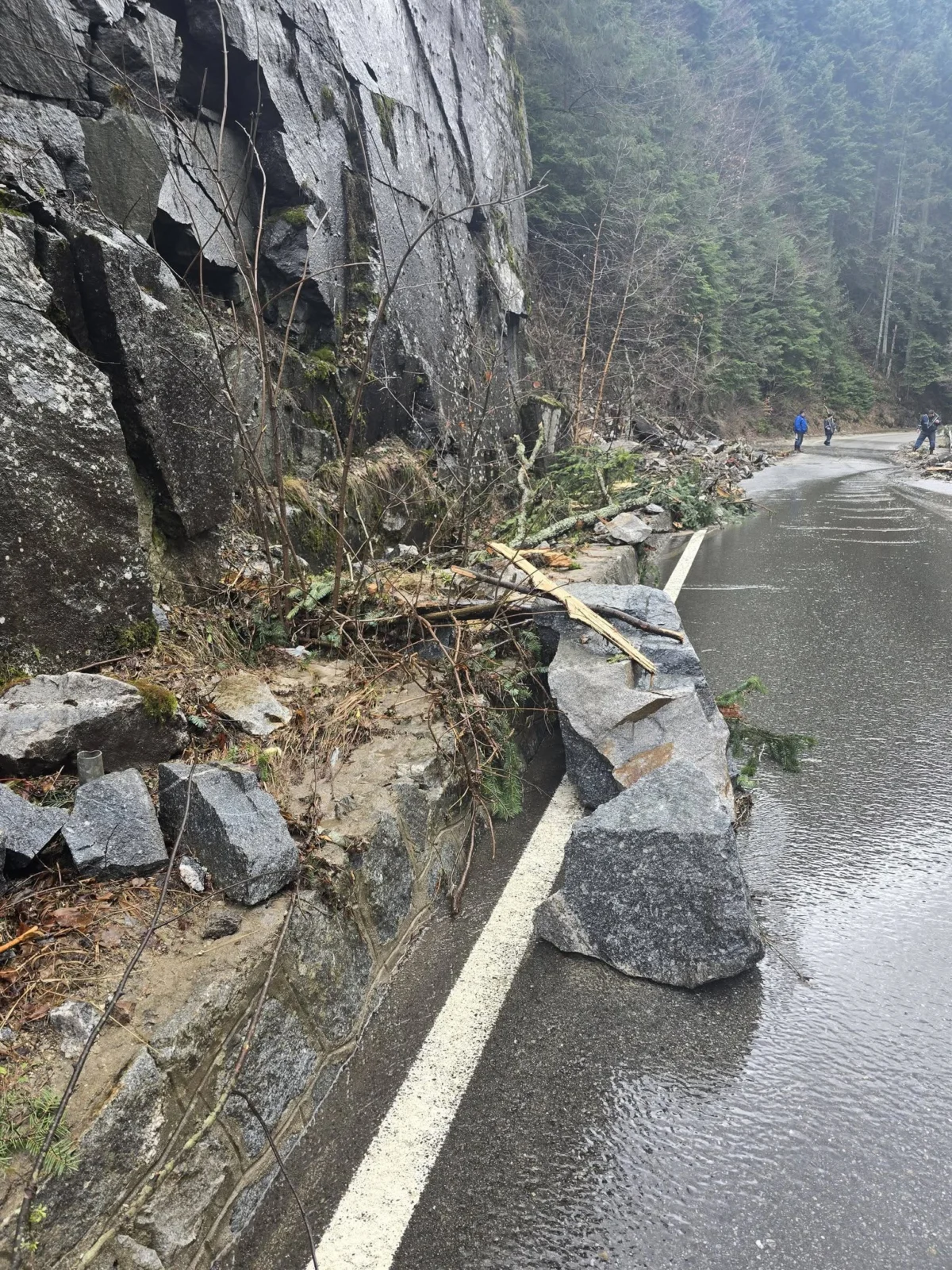Областният управител на Пазарджик отговори на протестиращите в Сърница заради блокирания път 2 636022695 1297519982430889 3421971543484478570 n