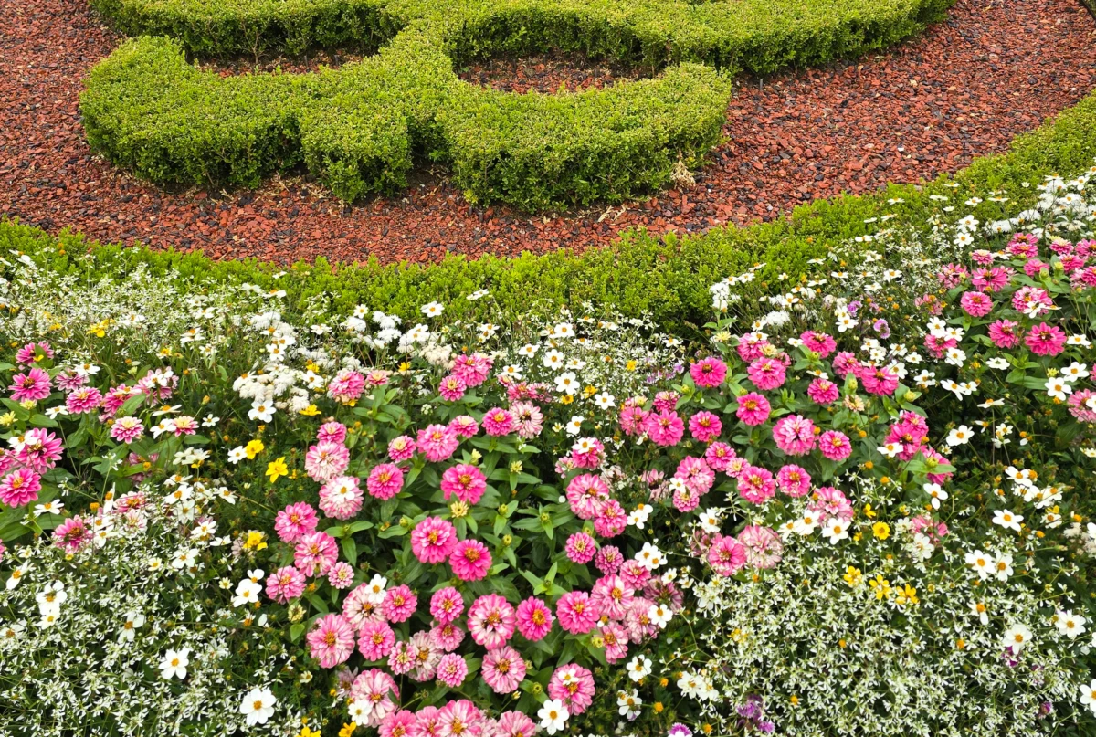 Денят по диагонал – 19 март 2026 г. 5 Експертите предупреждават, че тази пролет може да бъде „много тежък“ сезон за алергии