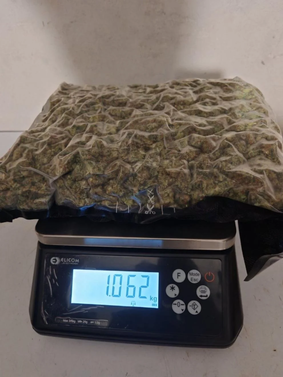marihuana zmejovo2
