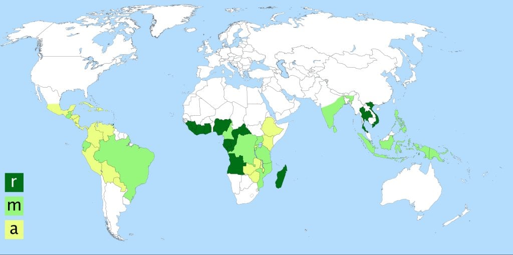 karta kultivirani vidove kafe carte coffea robusta arabic