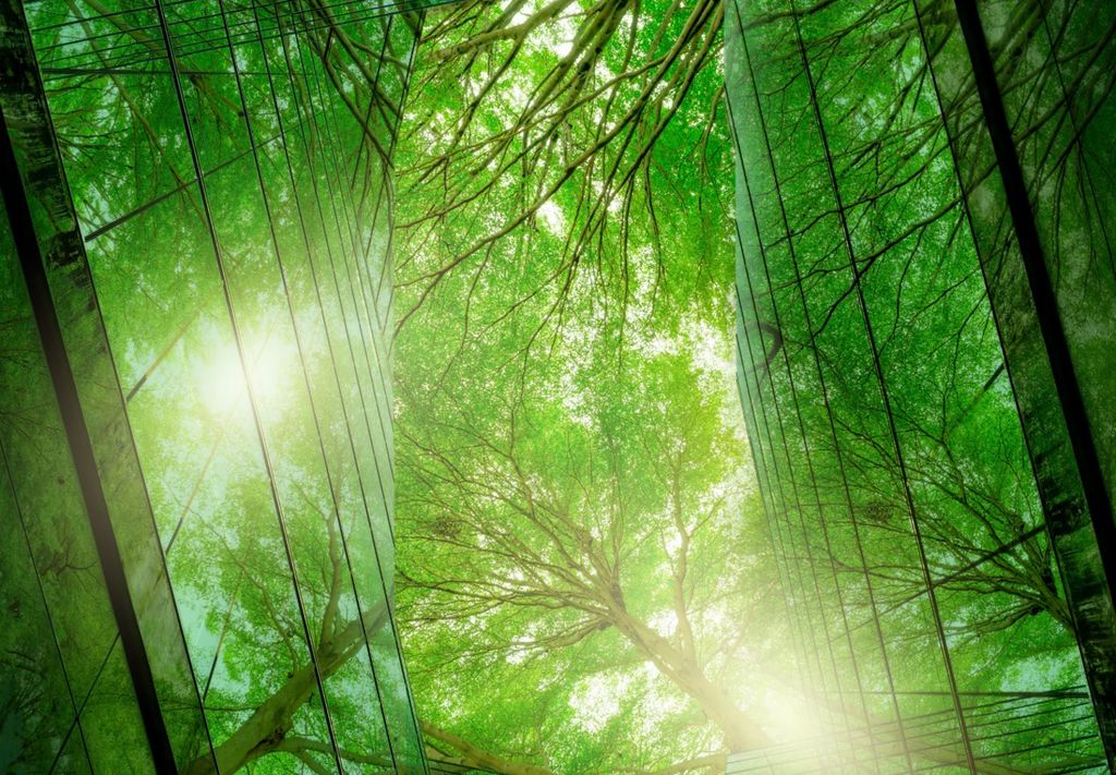 Еко Schneider Electric EcoAct визия